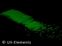 Leuchtgranulat 1.000g - grün